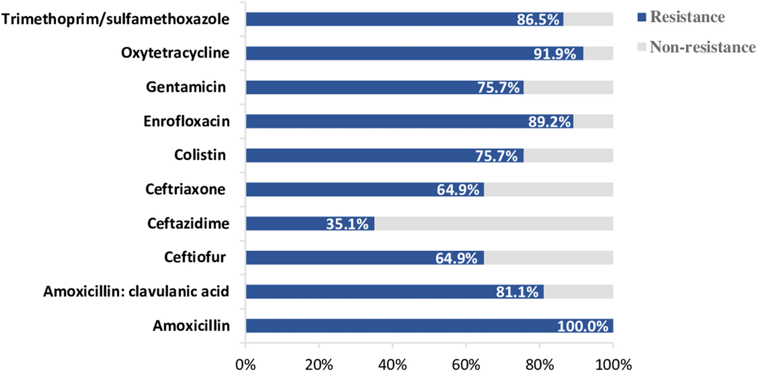 The antimicrobial-resistance percentages of E. coli strains (N = 37). Antimicrobial susceptibility was performed by MIC assay and analyzed based on the resistance breakpoints according to CLSI (VET01S, M100) guidelines.