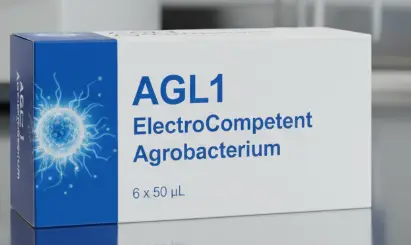 AGL1 ElectroCompetent Agrobacterium